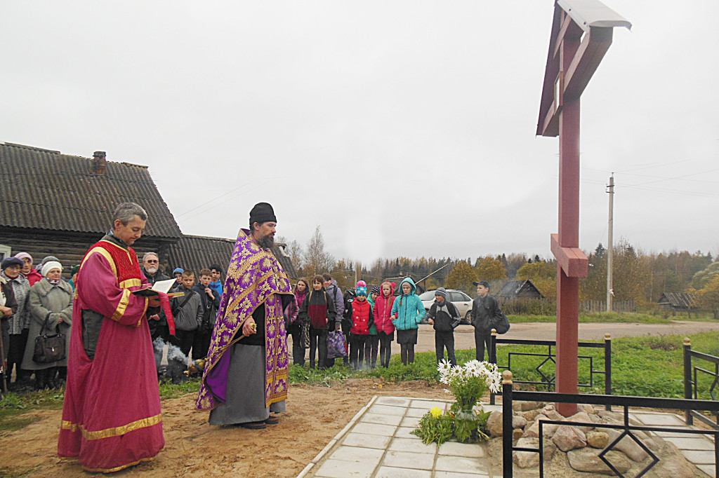 Погода в кневицах новгородская область