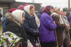 Старшее поколение проявляет наибольшую активность